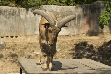 Similar image 6049190