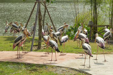 Similar image 6049191