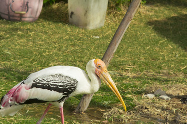 Similar image 6049199