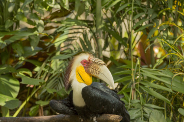 Similar image 6049200