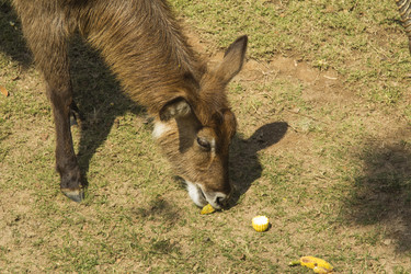 Similar image 6049201