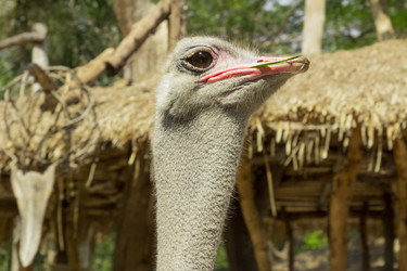 Similar image 6049221