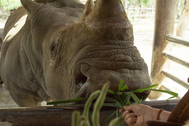 Similar image 6049225