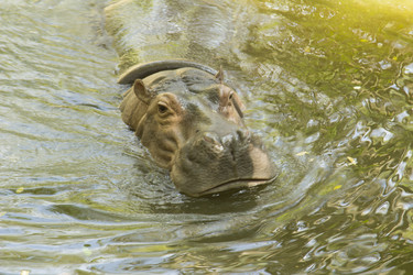 Similar image 6049226