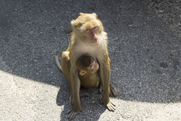 Similar image 6049228