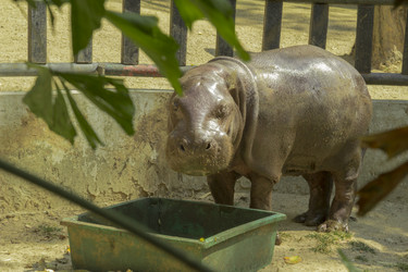 Similar image 6049229