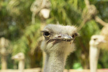 Similar image 6049231