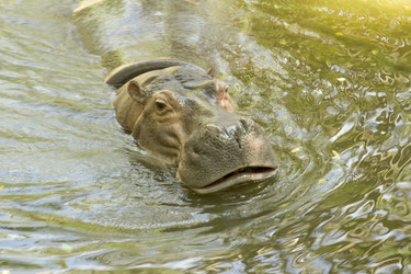 Similar image 6049233