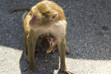 Similar image 6049234