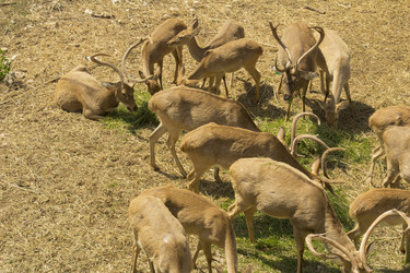 Similar image 6049236