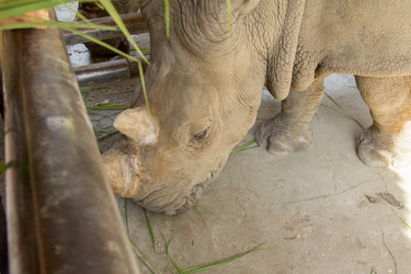 Similar image 6049237