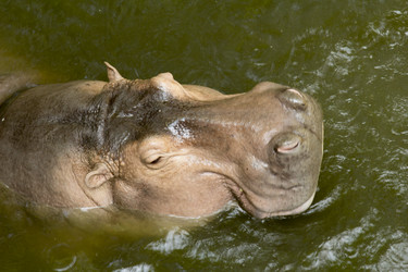 Similar image 6049240