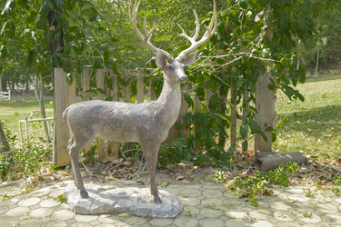 Similar image 6049246