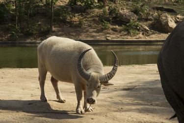 Similar image 6049255