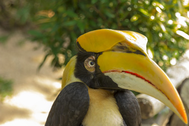 Similar image 6049258