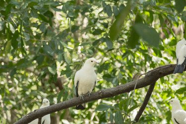 Similar image 6049263