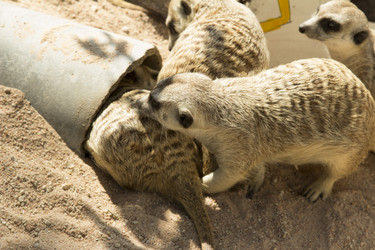 Similar image 6049268