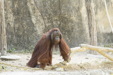 Similar image 6049271