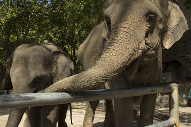 Similar image 6049277