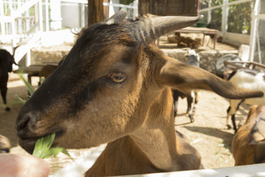 Similar image 6049276