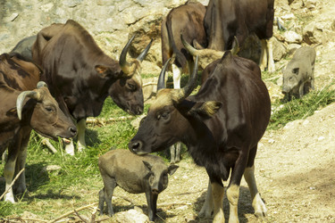 Similar image 6049278