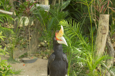 Similar image 6049279