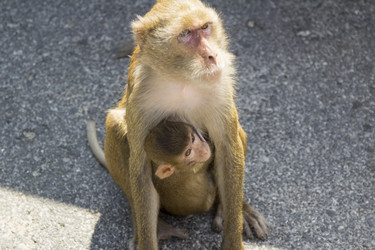 Similar image 6049283