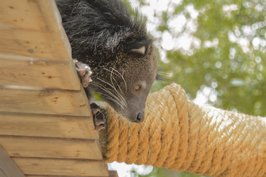 Similar image 6049285