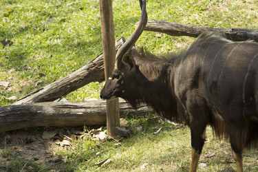 Similar image 6049286