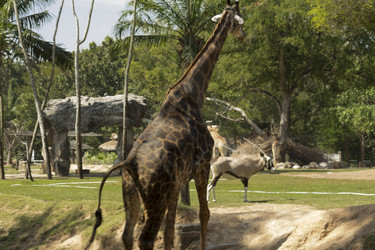 Similar image 6049299