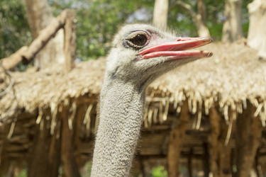 Similar image 6049305