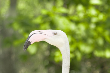 Similar image 6049309