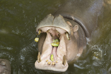 Similar image 6049310