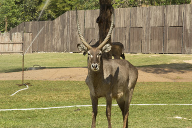 Similar image 6049315