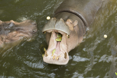 Similar image 6049318