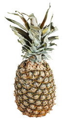 Similar image 6049373