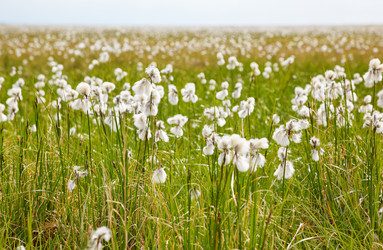 Similar image 6049403