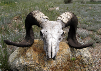 Similar image 6049438