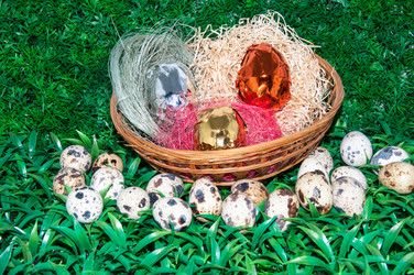 Similar image 6049474