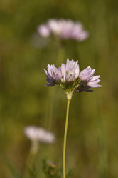 Similar image 6049494