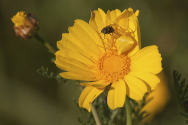 Similar image 6049495