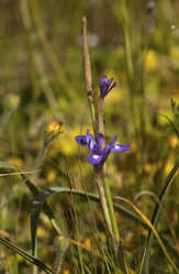 Similar image 6049497