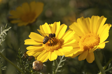 Similar image 6049498