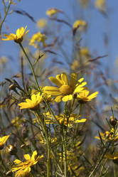 Similar image 6049499