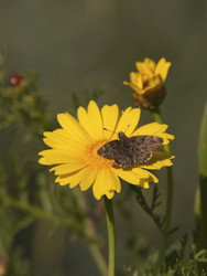 Similar image 6049500