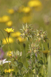 Similar image 6049501