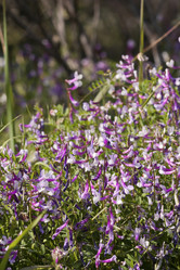 Similar image 6049502