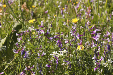 Similar image 6049503