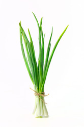 Similar image 6049596