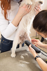 Similar image 6049635